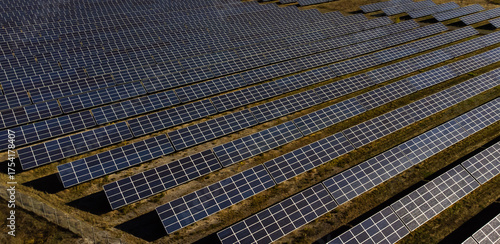 Aerial view of rows of solar panels for green energy production.