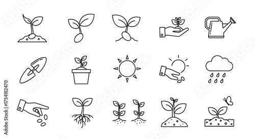 Plant growth stages and gardening icon set. Vector outline illustration of seed, sprout, seedling, roots, watering can, trowel, sun, rain. Agriculture and ecology concept.