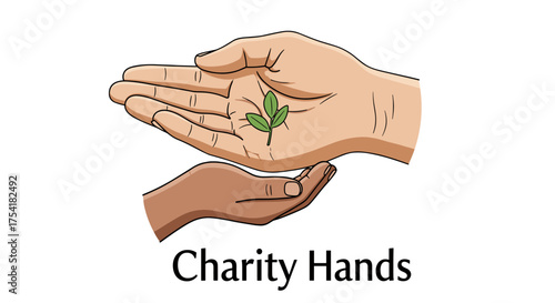 Charity hands metaphor for help, support and donation. Growth and new life concept. Nature, environment and sustainability. Unity in diversity and multicultural humanity.