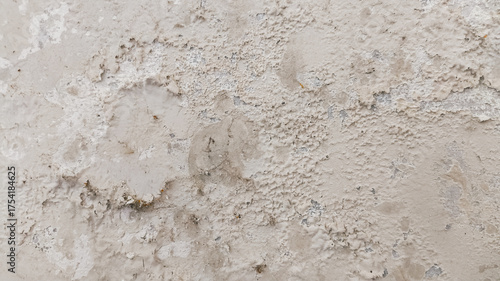 Canvas Print Old damaged wall with rough concrete texture, cracked paint, and eroded plaster surface