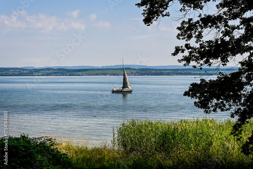 Güttingen, Bodensee, See, Seeufer, Uferweg, Ufer, Wasservögel, Schilf, Naturschutz, Wassersport, Seerundfahrt, Segelschiff, Sommer, Ostschweiz, Thurgau, Schweiz