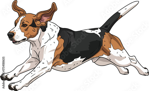 english foxhound dog running energetic athletic vector illustration