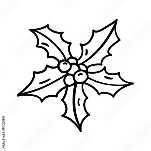 Holly leaves and berries. Hand drawn illustration in line style.