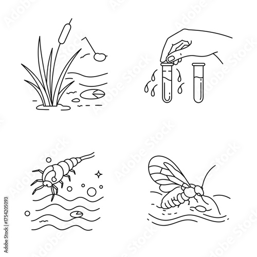 Line art collection featuring essential elements of aquatic biology, including wetland flora, water testing procedures, and fascinating freshwater insect life.