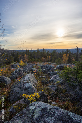 Beautiful autumn colors in Lapland Finland