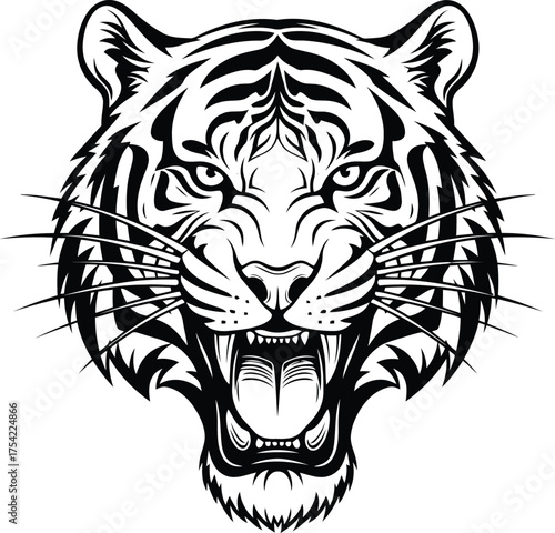 Fierce tiger roaring with open mouth and sharp teeth