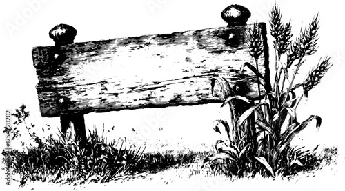 Vintage wooden sign illustration with natural plant details. Black and white vector art in a rustic style, showcasing a detailed landscape.