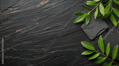 Natural textures and greenery displayed on a dark stone background in a minimalist arrangement