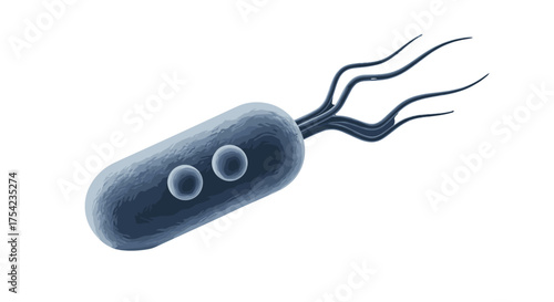 Bacterium cell character with eyes, 3D render illustration. Microbiology concept of a microbe, germ, or pathogen with flagella. Scientific or medical microscopic organism isolated on white.
