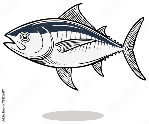 Classic tuna fish vector illustration in a vintage engraved style