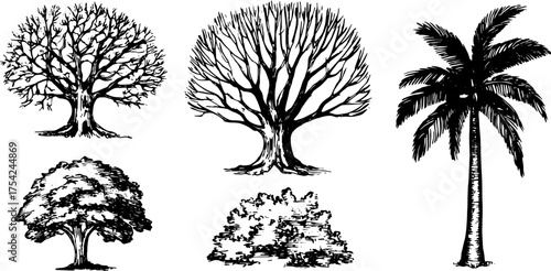 Tree silhouettes including palm and bush in black and white. Simple vector illustration depicting natural elements in a cohesive set.