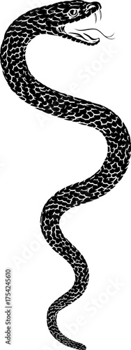 Snake coiled serpent, origi...