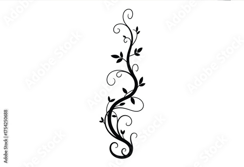 Elegant minimalist black silhouette illustration of a decorative climbing vine with ornate leaves swirling branches and organic floral design silhouette vector illustration white background