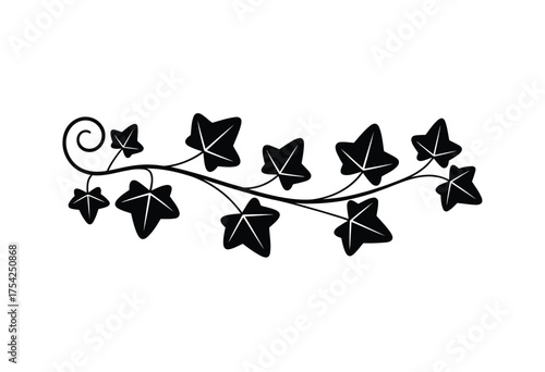 Stylized black silhouette ivy vine illustration vector graphic design element decorative botanical patterns organic nature inspired artwork scalable silhouette vector illustration white background