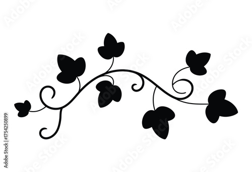 Elegant stylized black silhouette vector ivy vine illustration delicate leaves ideal for decorative borders organic designs and nature inspired graphics silhouette vector illustration white background