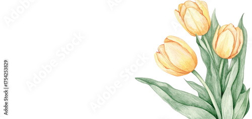 bouquet of yellow tulips