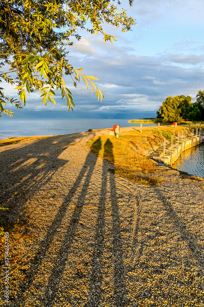 Fototapeta premium Güttingen, Bodensee, Seeufer, Seerundfahrt, Hafen, Schiffe, Boote, Bootssteg, Schilf, Wasservögel, Naturschutz, Uferweg, Wanderweg, Schattenwurf, Sommer, Abendstimmung, Ostschweiz, Thurgau, Schweiz