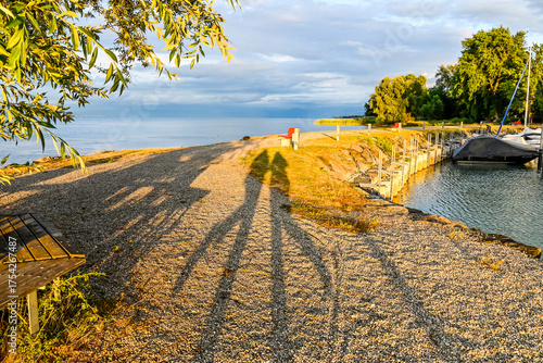 Güttingen, Bodensee, Seeufer, Seerundfahrt, Hafen, Schiffe, Boote, Bootssteg, Schilf, Wasservögel, Naturschutz, Uferweg, Wanderweg, Abendstimmung,  Schattenspiel, Sommer, Ostschweiz, Thurgau, Schweiz