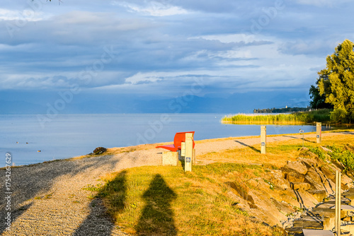 Güttingen, Bodensee, Seeufer, Seerundfahrt, Hafen, Schiffe, Boote, Bootssteg, Schilf, Wasservögel, Naturschutz, Uferweg, Wanderweg,  Abendstimmung, Sommer, Schatten,, Ostschweiz, Thurgau, Schweiz