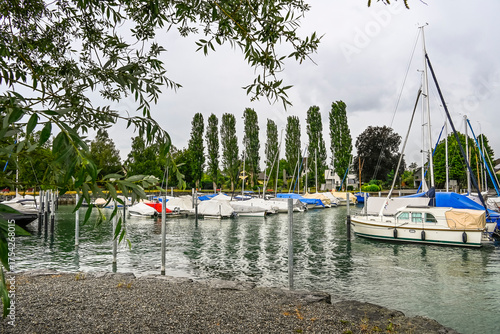 Güttingen, Bodensee, Seeufer, Seerundfahrt, Hafen, Schiffe, Boote, Bootssteg, Schilf, Wasservögel, Naturschutz, Uferweg, Wanderweg, Sommer, Ostschweiz, Thurgau, Schweiz