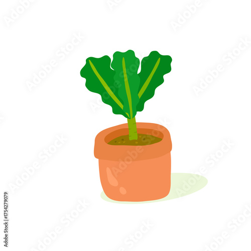 Cartoon Kale Plant in Terracotta Pot – Healthy Leafy Green Vegetable on White Background