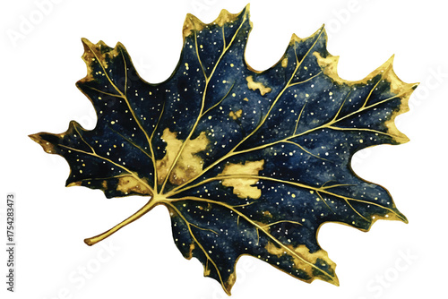 Dark blue and gold speckled maple leaf with distressed texture watercolor illutrastion transparent background