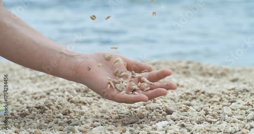 Coral Sand falling from hand in slow motion on a coral beach. Vacation and travel concept. Shot on super slow motion camera 1000 fps.