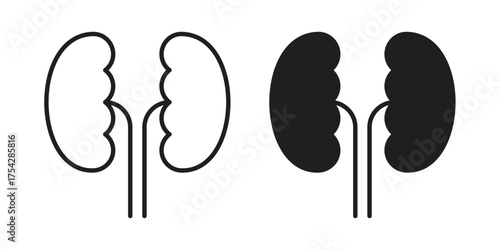 Kidneys icon set in flat and line style vectors