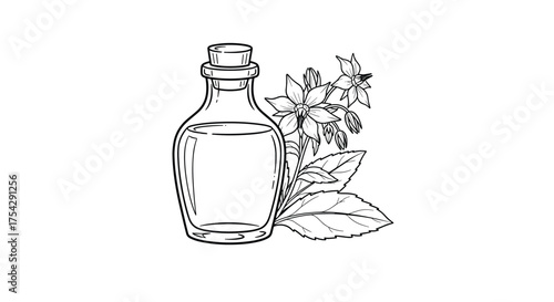 Aromatic botanical extract in a glass bottle with plant sprigs.