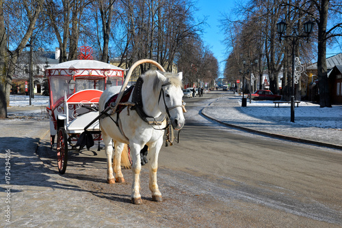 Horse-drawn carriage, white horse in the city street