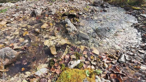 Take a moment to admire a crystal clear stream gently flowing over smooth stones and surrounded by vibrant leaves in a serene setting that beautifully showcases the tranquility and harmony of nature