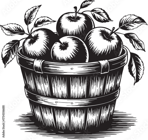 Black and white woodcut illustration of a wooden bushel basket filled with apples and leaves in detailed vintage engraving style on white background