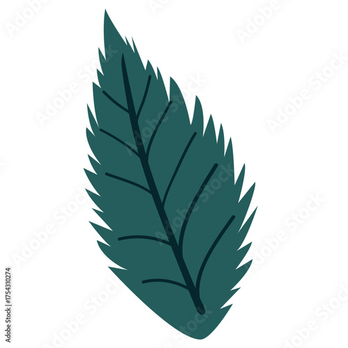 Dark green single leaf with serrated edge, perfect for botanical, editorial, or sophisticated nature-themed visual compositions.

