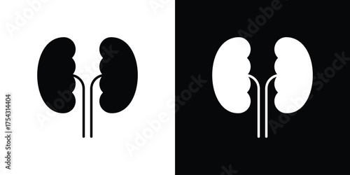 Kidneys icon glyph vector Illustration