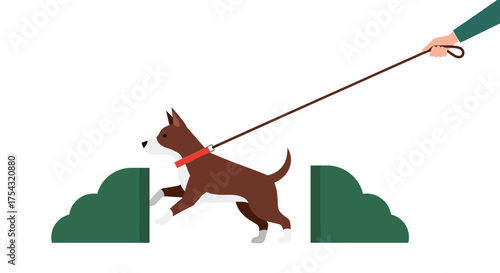 Canine agility training concept with a pet jumping over an obstacle while being led by its handler on a white background