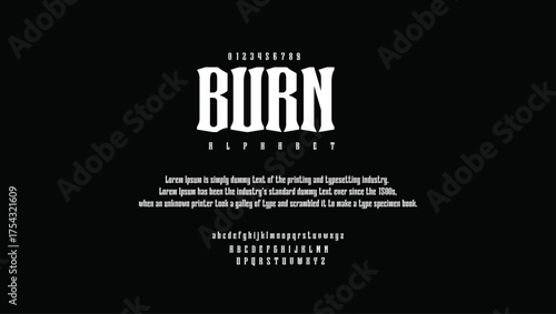 burn  premium luxury elegant alphabet letters and numbers. Vintage wedding typography classic serif font decorative vintage concept. Creative vector illustration.	
