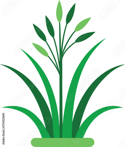Lush green grass with budding stalks vector illustration natural plant growth isolated on transparent background