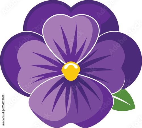 Vibrant violet pansy flower with green leaf vector illustration botanical garden element