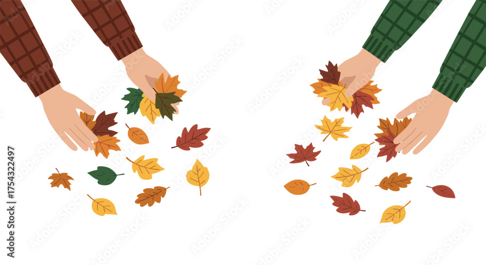 Fototapeta premium Hands gathering autumn leaves on white background