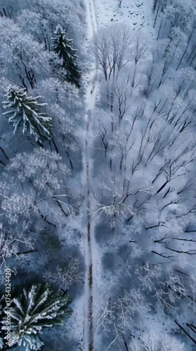Vertical drone video of snow covered trees and path in winter