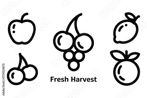 Fresh Harvest fruit line icon set with apple, lemon, orange, cherries and grapes in bold black outline for organic food and juice branding