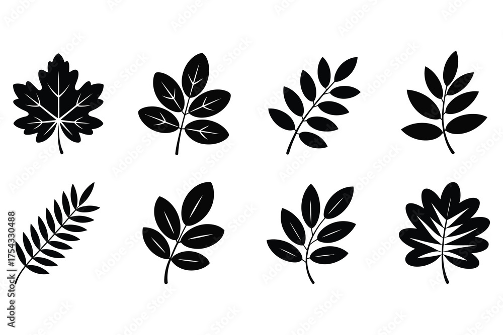 Fototapeta premium Black Leaf Silhouette Icon Set – Minimal Nature Botanical, Maple, Oak, Fern, and Foliage Vector Collection