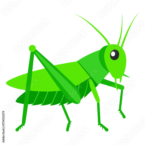 Illustration of a green cartoon grasshopper