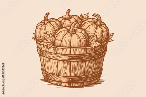 Pumpkins in wooden bucket vintage engraving style vector illustration
