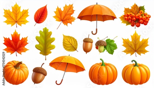 Autumn. Maple leaf, oak, poplar, physalis, acorn, rowan, pumpkin, umbrella. 3d vector