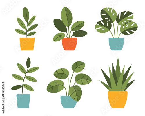 Collection of six potted houseplants in colorful pots on a white background