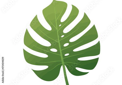 Illustrated Monstera Leaf with Distinctive Fenestrations and Vibrant Green Hue.