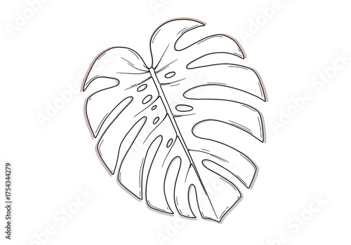 Monstera Leaf Outline Illustration with Fenestrations and Veins.
