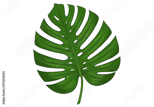 Detailed Illustration of a Vibrant Green Monstera Leaf with Intricate Cuts.