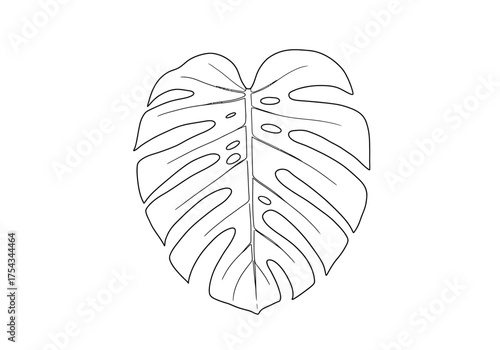 Line Art Illustration of a Monstera Leaf with Distinctive Fenestrations.